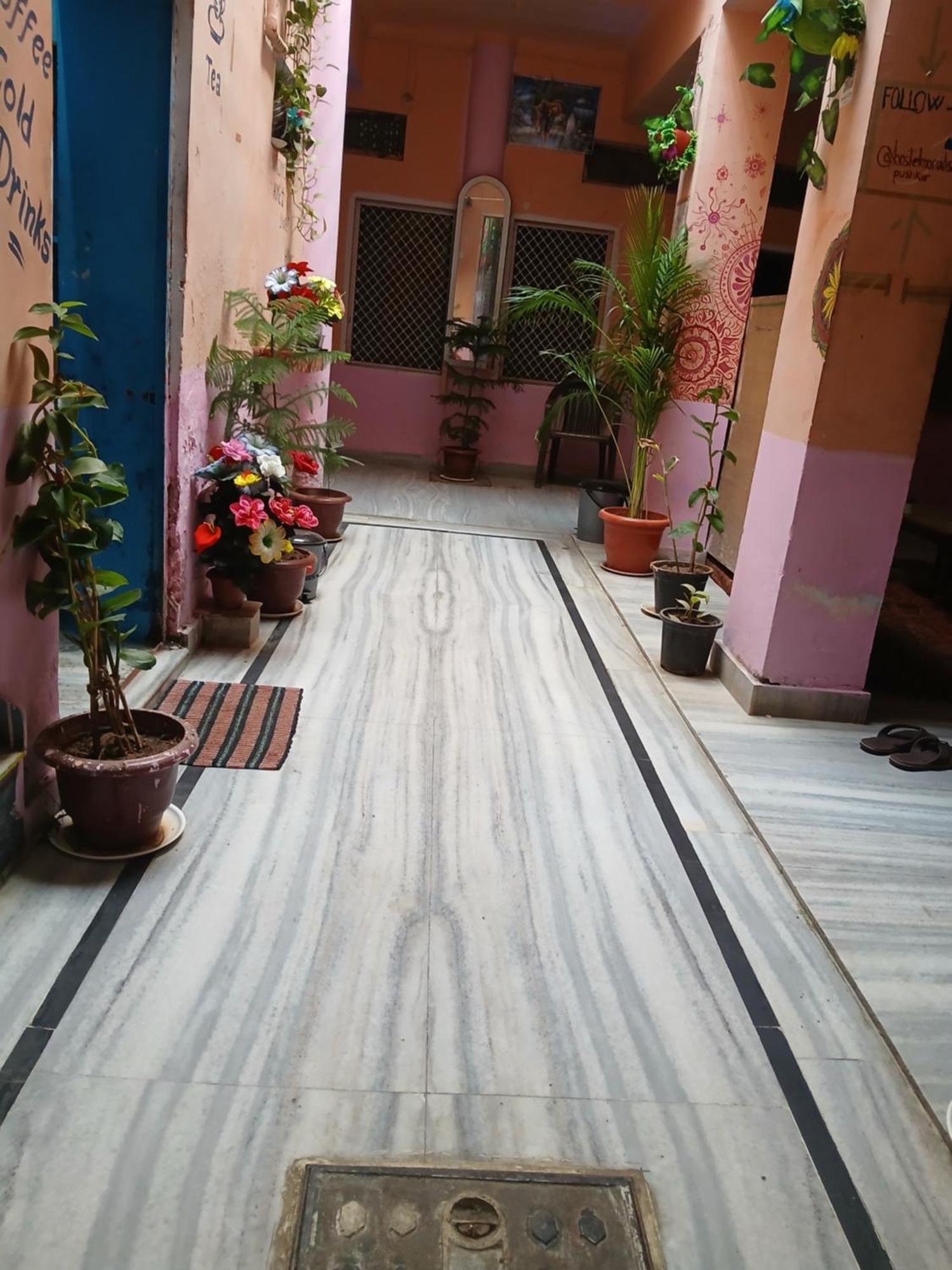 Hostel Monalisa بوشكار المظهر الخارجي الصورة